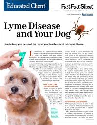 Lyme Disease Your Dog Lyme Disease Can Be Difficult To Diagnose And Can Cause Serious Health Problems In Your Dog Print Out And Lyme Lyme Disease Disease