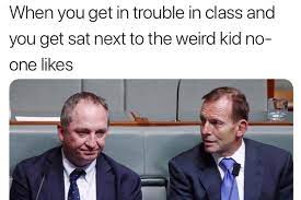 Barnaby joyce is meme gold, just search his face. Liberal Staffer Loses Job Over Barnaby Joyce Meme