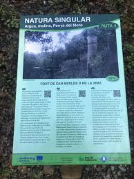 Baix llobregat has an area of 486.5 km2, population of 643,419 inhabitants (1996), density of 1322.5 inhabitants/km2, and sant feliu de llobregat is the capital. Wikiloc Foto De Font De Can Marles 1 1 6