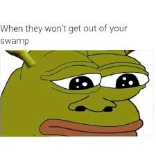 Pinterest Slimjimsnooot Grace Cody Instagram Slimjimsnoot Shrek Memes Shrek New Memes