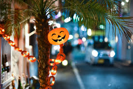 Maybe you would like to learn more about one of these? Wallpaper Christmas Decoration Christmas Holiday Plant Event Christmas Lights Palm Tree Night 6016x4016 903392 Hd Wallpapers Wallhere