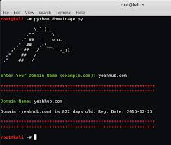 Github Yeahhub Domainage Calculate The Domain Age With Python Script