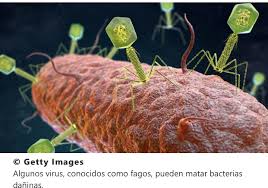 Pin On Noticias