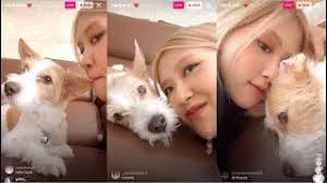 Rosé Instagram Live Full : “Hank and I ❤️” [7/08/21]