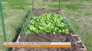 These garden towers are really great if you're limited on space! Fall Vegetable Garden Prep Smith County Master Gardener Says Start Now Cbs19 Tv