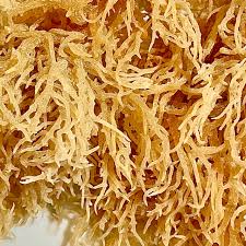 Keep scrolling and see just how you can make it yourself! Wildcrafted Raw Irish Sea Moss Go Natural 247 Health And Beauty Supply