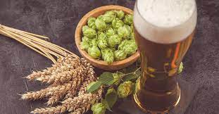 11 Questions About Ipa You Re Too Embarrassed To Ask Answered Vinepair