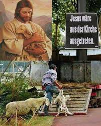 Spruche Humoristisches Bedenkliches 3