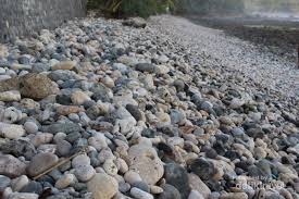 Penampakan batu besar hanya menempel di atas batu kerikil kecil, seolah terlihat seperti padi ir64 umur 7hari dan 60hari di lahan batu kerikil dengan inovasi pola tanam by rizky farm. Pantai Unik Di Pacitan Isinya Batu Kerikil Besar Besar