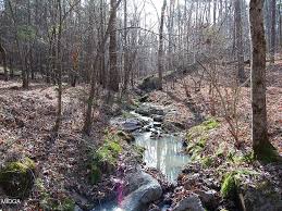 0 Eastover Rd, Greensboro, GA 30642