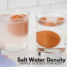 salt water density experiment for kids
