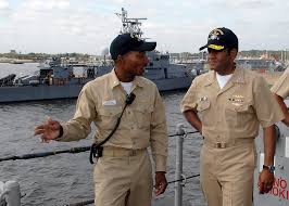 Image result for Brown 2009 Fleet