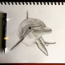 Daily Sketch 96 The Dolphin Swipe For The Process Followmattformore Dolphins Dolphin Daily Sketch 96 The Dolphin Drawing Animal Sketches My Drawings