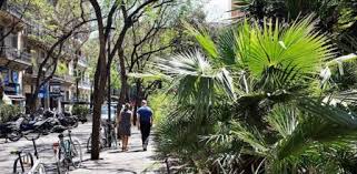 Maybe you would like to learn more about one of these? La Esquerra De L Eixample El Barrio Mas Cool Del Mundo De 2020 Segun Time Out