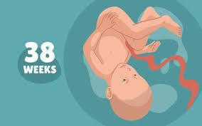 'the danger is that when a woman lies in a hot bath or a sauna for any length of time her legs heat up too,' he said. Safety Tips For Taking A Bath While You Re Pregnant