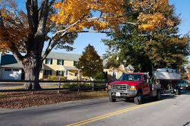 Find the perfect hotel in freeport using our hotel guide provided visit freeport during the summer to take advantage of maine's glorious weather for a hike or bike ride. The Life Aquatic Freeport Maine Maine Home Design