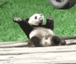 11 Cutest Animal Gifs Ever 9 Is My Favorite Mogul Cute Animals Super Cute Animals Panda Bear