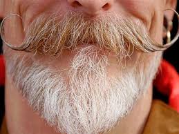 زيت الخروع للذقن أهم المعلومات ويب طب