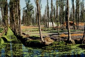 Aztec farmers built up the soil until it was above the surface of the lake. Chinampas Of Tenochtitlan Floating Garden Urban Agriculture Tenochtitlan
