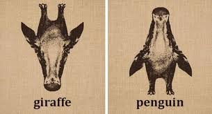 Giraffe Penguin Optical Illusions Illusions Optical Illusions Art