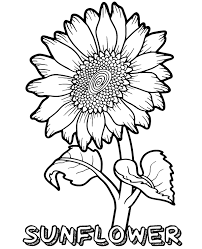 A Big Sunflower Coloring Page Sunflower Coloring Pages Summer Coloring Pages Easy Coloring Pages