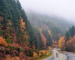 British Columbia Fall的圖片