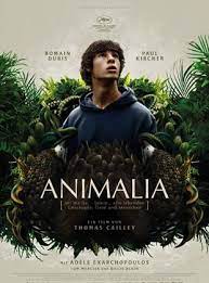 زیرنویس Animalia 2023 - بلو سابتايتل 