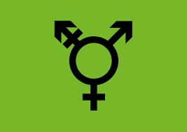 Wir sind nicht hier, um unschuldigen zivilisten. Pride Flags Queer Lexikon