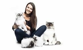 If you are looking for a unique way to memorialize your pet, having a custom stuffed animal replica of them is about as unique as it. Cuddle Clones Makes Custom Stuffed Animals To Look Like Your Pets