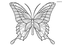 Coloring is the application of colors on a surface that is done through many ways. Butterflies Coloring Pages Free Printable Butterfly Coloring Sheets