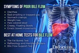 Functional Digestive Health Testing To Biohack Your Gut Drjockers Com Abdominal Bloating Stomach Cramps Bloating Causes