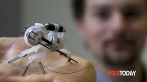 Aula multimediale Istituto Biorobotica Pontedera