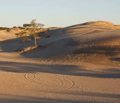 This massive sand dune reaches 3,858 feet high. Dune Wikipedia