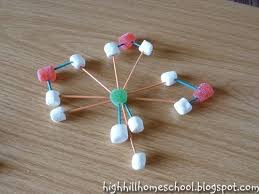 Molecule Activity Fun Kid Cell Science Biology And Chemistry Activity With Candy Study Unit Molecules Covalent Bonding