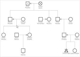 36 Genogram Templates Pdf Word Apple Pages Google Docs