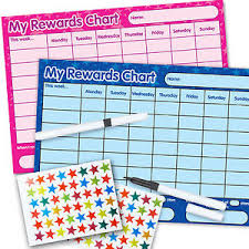 Details About Boy Girl Two Re Usable Reward Chart Inc Free Pen Stickers Pink Blue