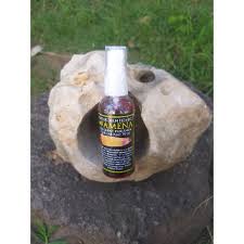 Daun jarak adalah tanaman herbal yang sudah sejak lama dipercaya dapat mengatasi berbagai masalah kesehatan, dari yang ringan hingga. Minyak Daun Tiga Jari Wamena Minyak Daun Bungkus Papua Shopee Indonesia