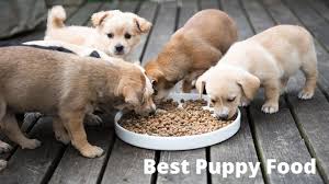 The data in our typical analysis is composed of calculated values using expected figures from ingredient databases and actual lab analyses of our foods. Best Puppy Food For Large Breeds Wet And Dry Puppy Food Reviews