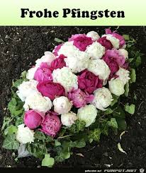 Maybe you would like to learn more about one of these? Frohe Pfingsten