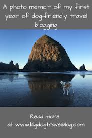 A Photo Memoir Of My First Year Of Dog Friendly Travel Blogging Travel Blog Dog Friends Travel