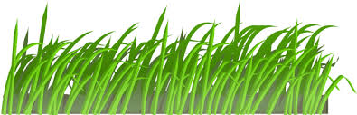 Download Grass Texture Clip Art 114740 Free Svg Download 4 Vector