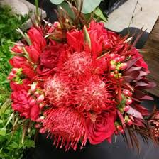 Asheville mortuary services is a licensed funeral home which specializes in cremation and anatomical donation options. 180 Asheville Wedding Bouquets Ideas Wedding Bouquets Wedding Asheville Wedding