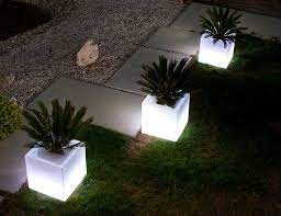 Illuminated Cube Planter Planters Planter Lights Modern Outdoor Lighting