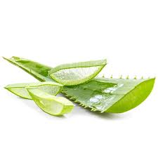 We did not find results for: Aloe Vera Ingredients Library
