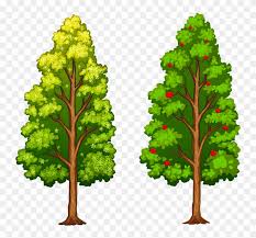 Check spelling or type a new query. Fotki Tree Leaves Tree Of Life Flower Clips Paper Different Types Of Trees With Fruits Png Download 2904420 Pikpng
