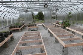 See more ideas about greenhouse tables, greenhouse, greenhouse benches. Garden Boxes Greenhouse Tables Greenhouse Tables Greenhouse Greenhouse Gardening