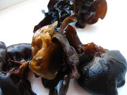 Durerea la nivelul urechii se poate manifesta in mai multe moduri si • alaptarea pret de 12 luni scade considerabil riscul de infectie la copii. Furnici In Copac æ 'ä¸Šèš‚èš Din Secretele BucÄƒtÄƒriei ChinezeÈ™ti