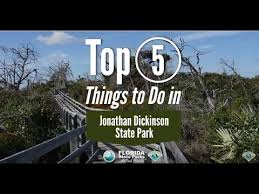 We did not find results for: Top 5 Jonathan Dickinson State Park Youtube