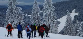 Schneeschuhwanderung Am Feldberg In 2020 Schnee Feldberg Schwarzwald Wanderung