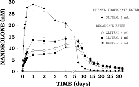 pharmacokinetics and pharmacodynamics of nandrolone esters